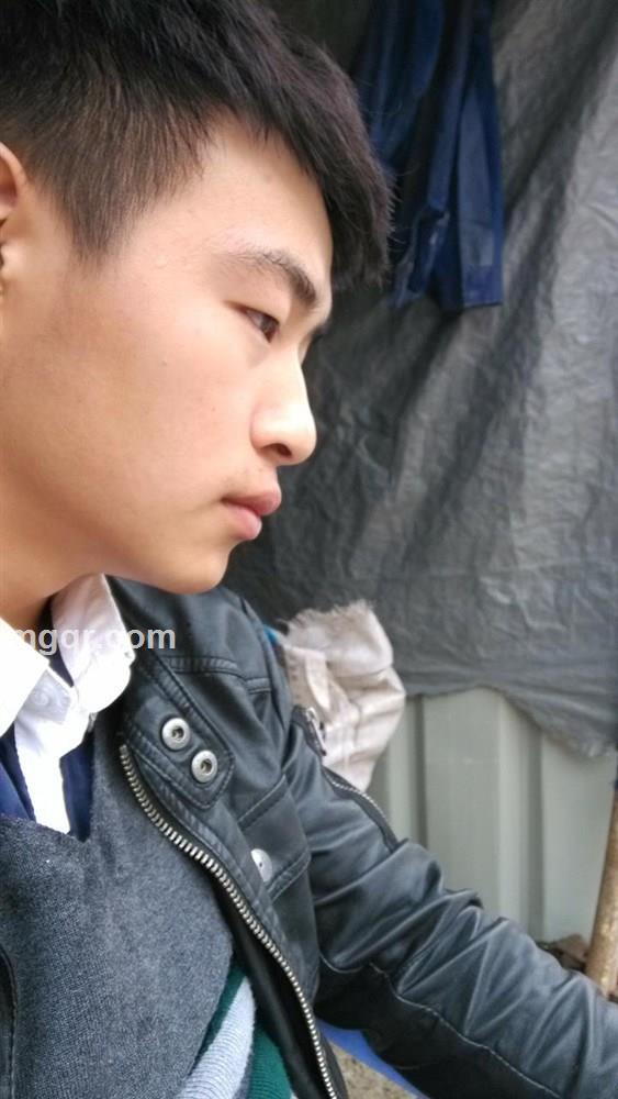 QQ528698443的头像