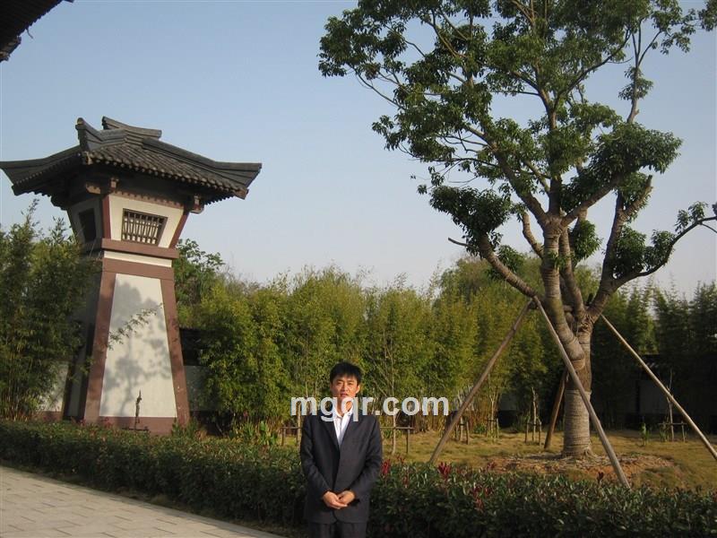 花落知秋的头像