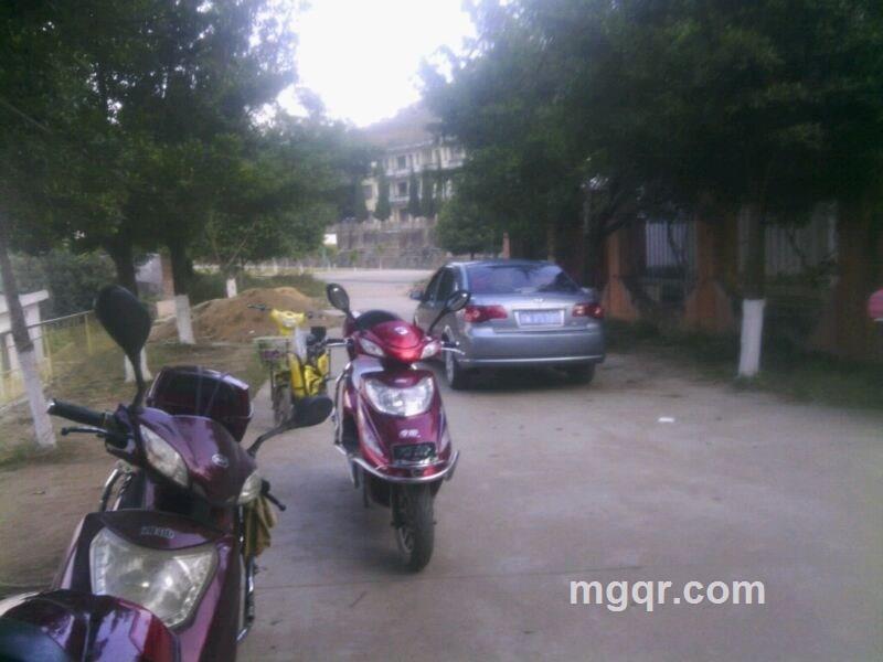 雪地飞龙的头像