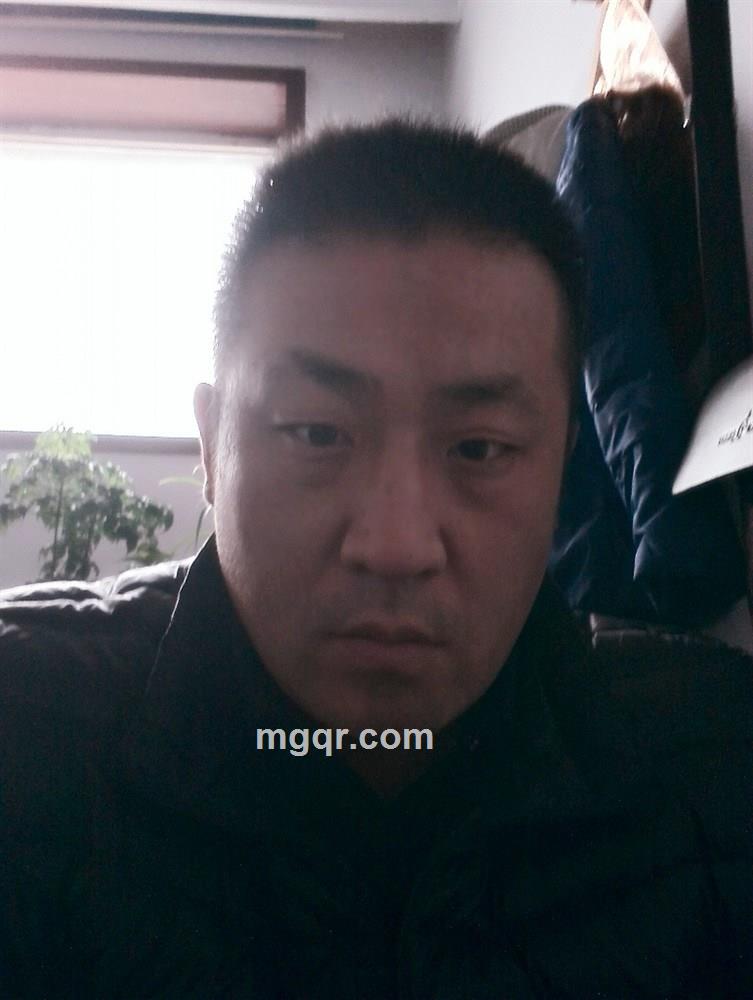 天鹅你说的头像