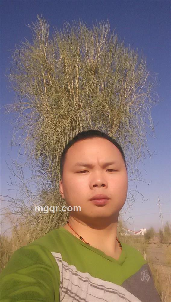 会员3178403的头像