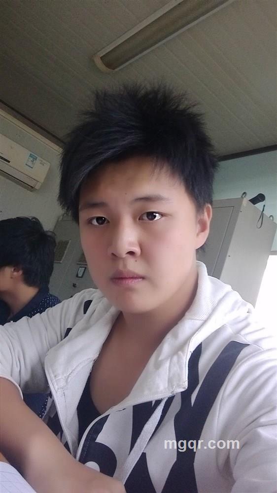 鹏的头像