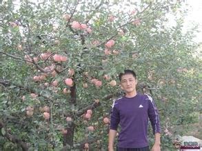 雪夜独行越走越孤单的头像