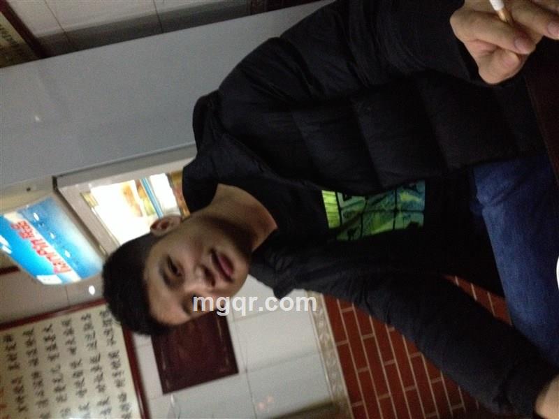 无叶子的树的头像