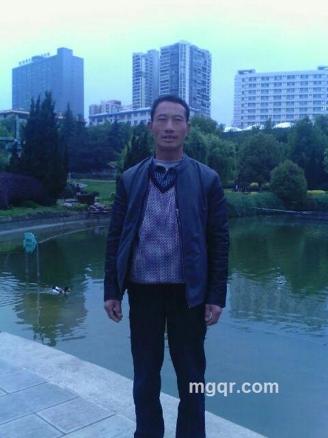 狮在平原的头像