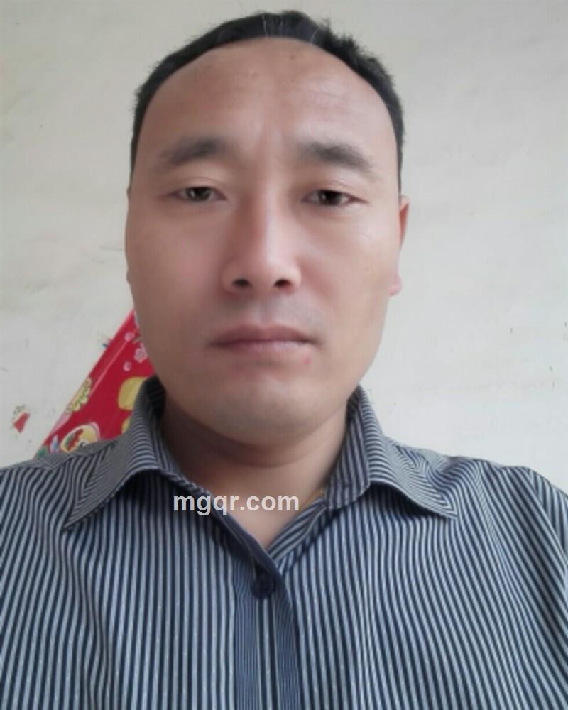 宁静的港湾的头像