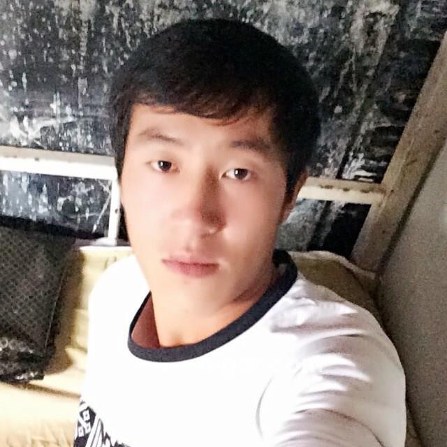 无欲望的夜的头像