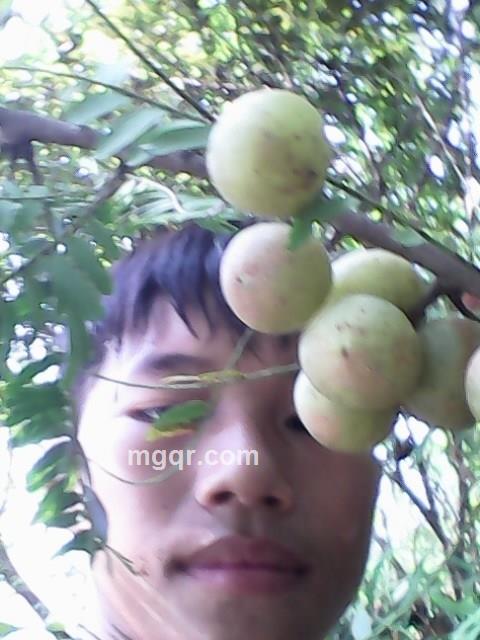 小立新的头像