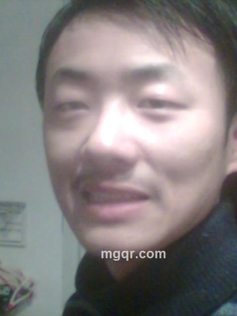 飞禽走兽的头像