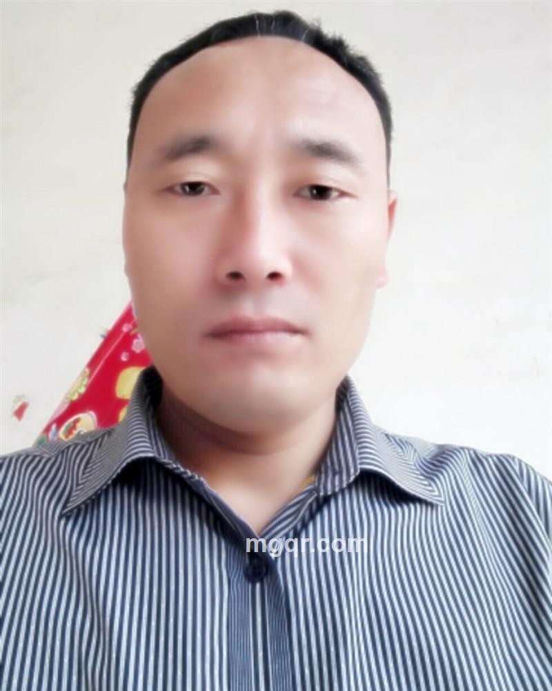 宁静的港湾123的头像