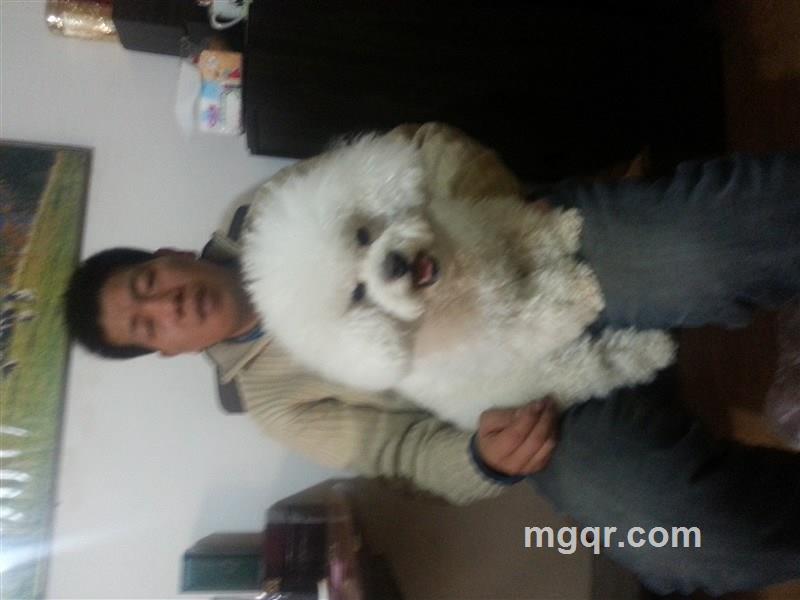 追寻性的艺术的头像