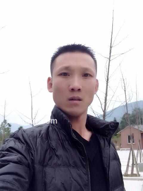 谢阿朋的头像