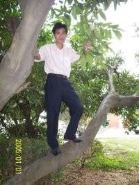 lingyun654的头像