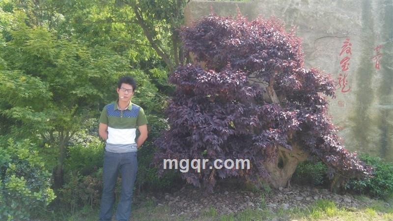 雨中飞鹤的头像