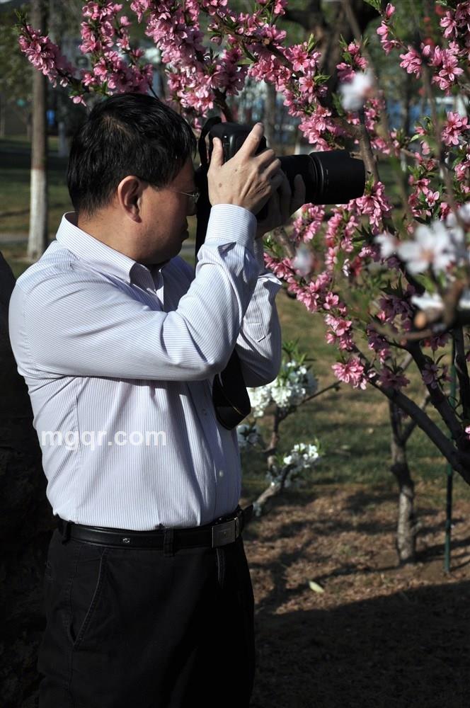 飞上了云端的头像