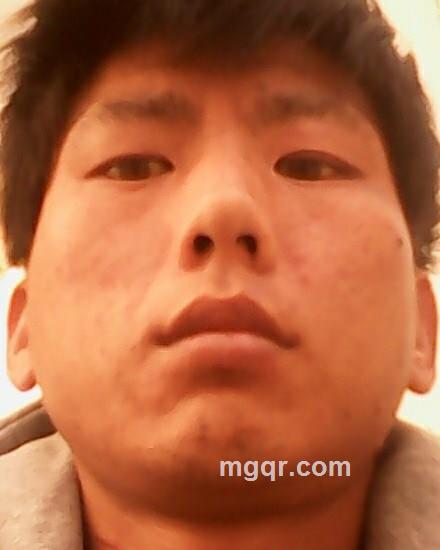 真情求女神的头像