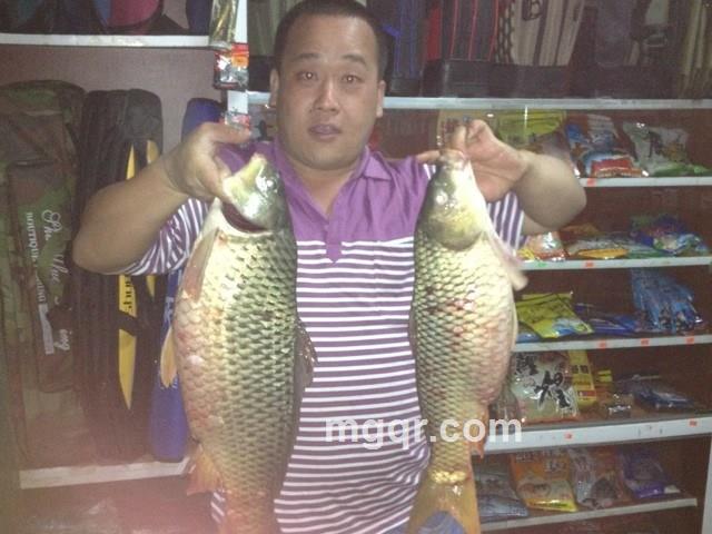 情凭谁来定错对1的头像