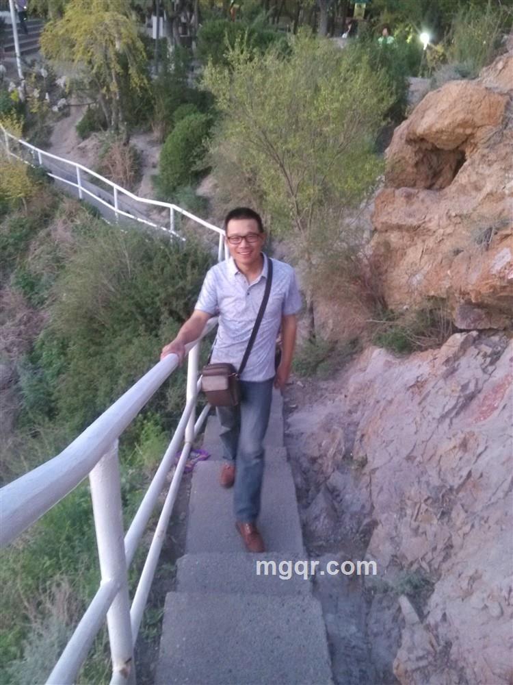 新疆野鸟的头像