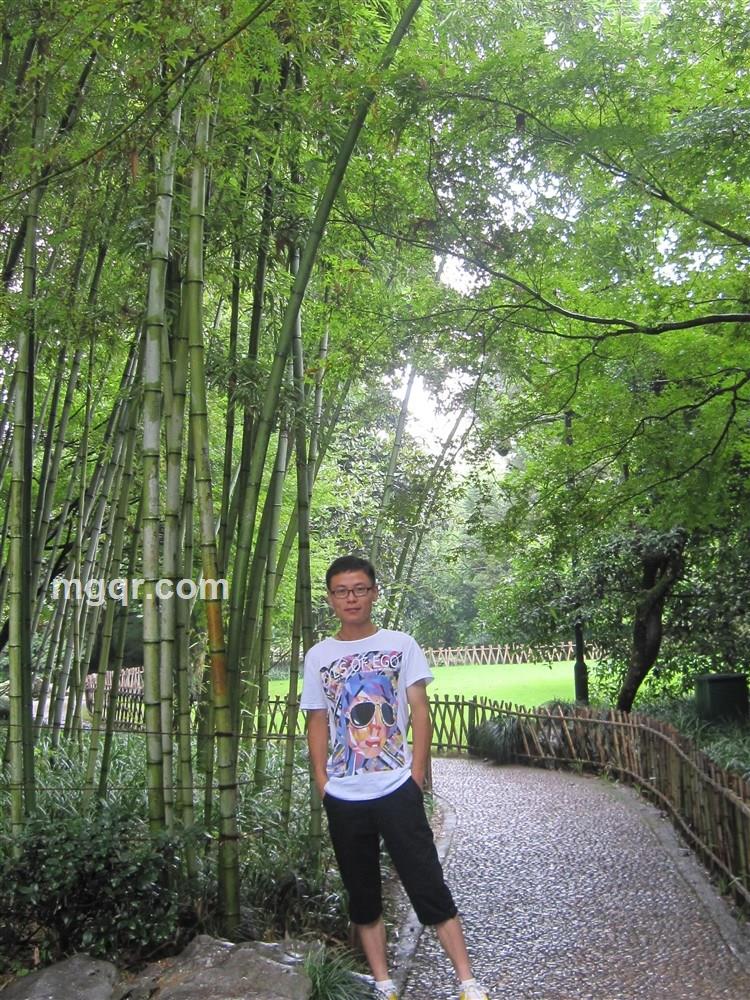 偶尔迷情的头像