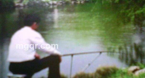 倚松听风的头像