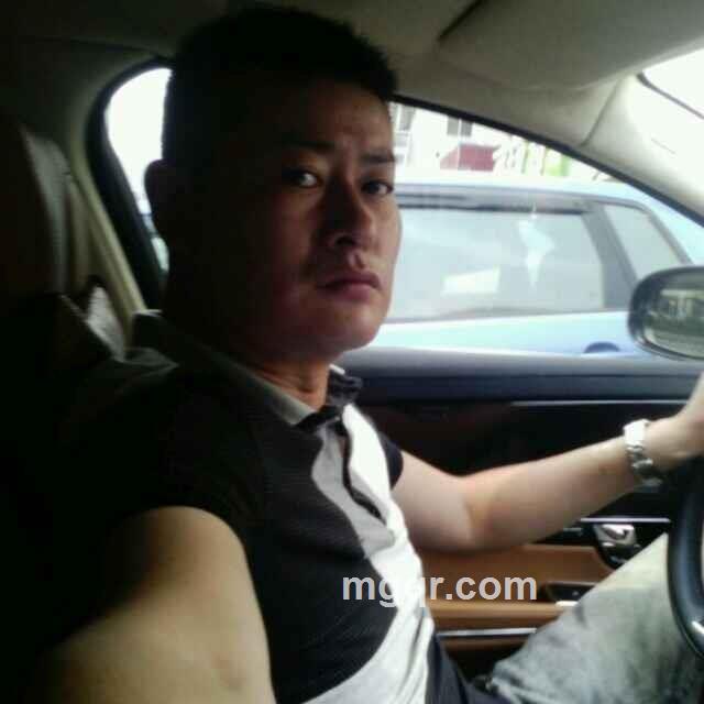 单纯的狼的头像