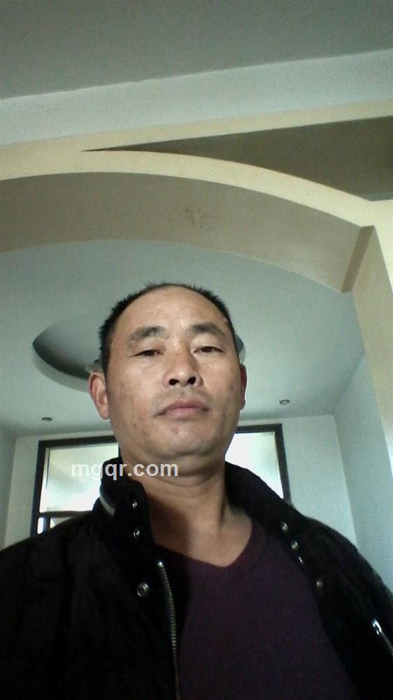 高原飞鹰的头像