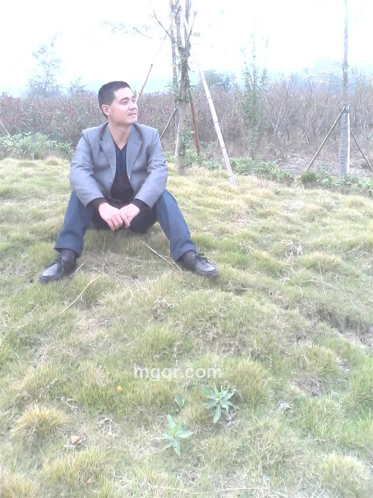 温柔的兔的头像