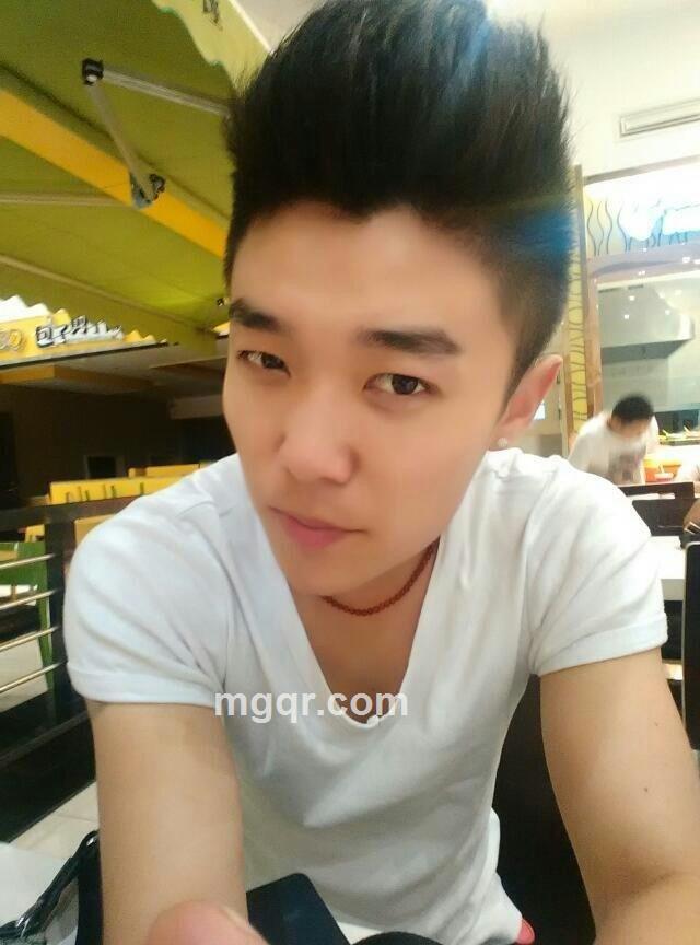 渴望水的鲨鱼的头像