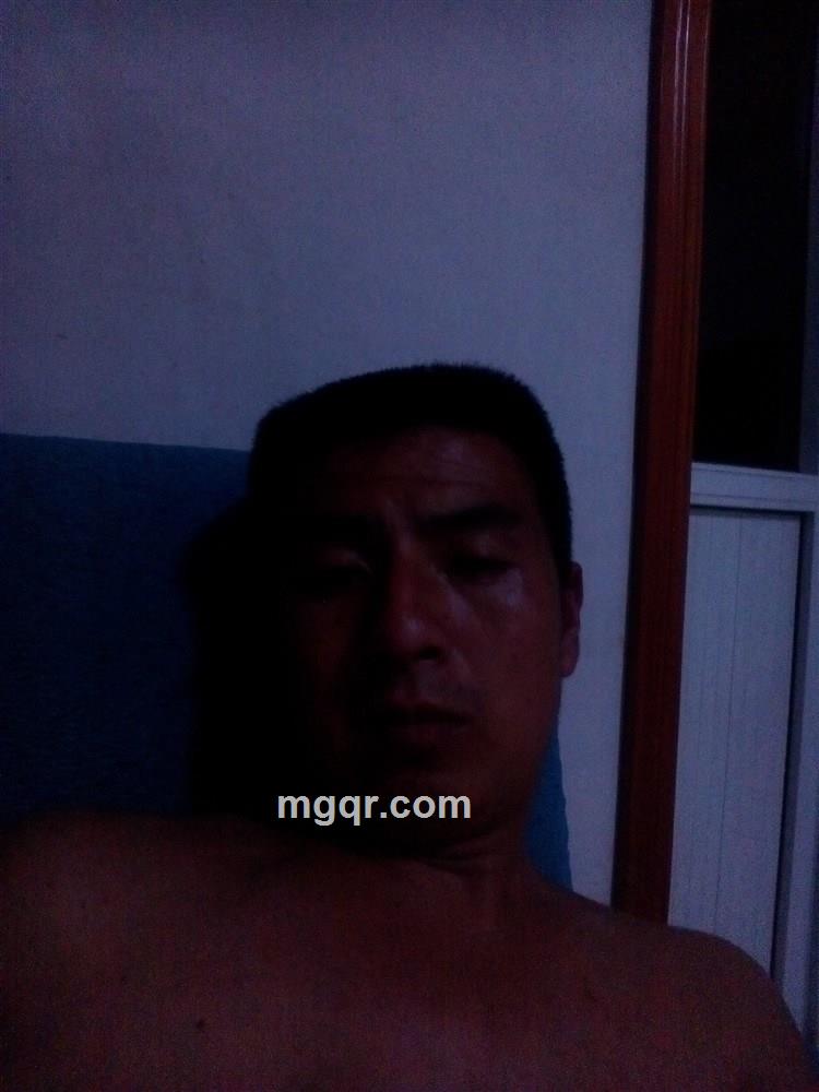 傻傻的微笑的头像