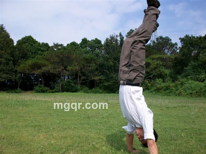 爬墙看红杏的头像