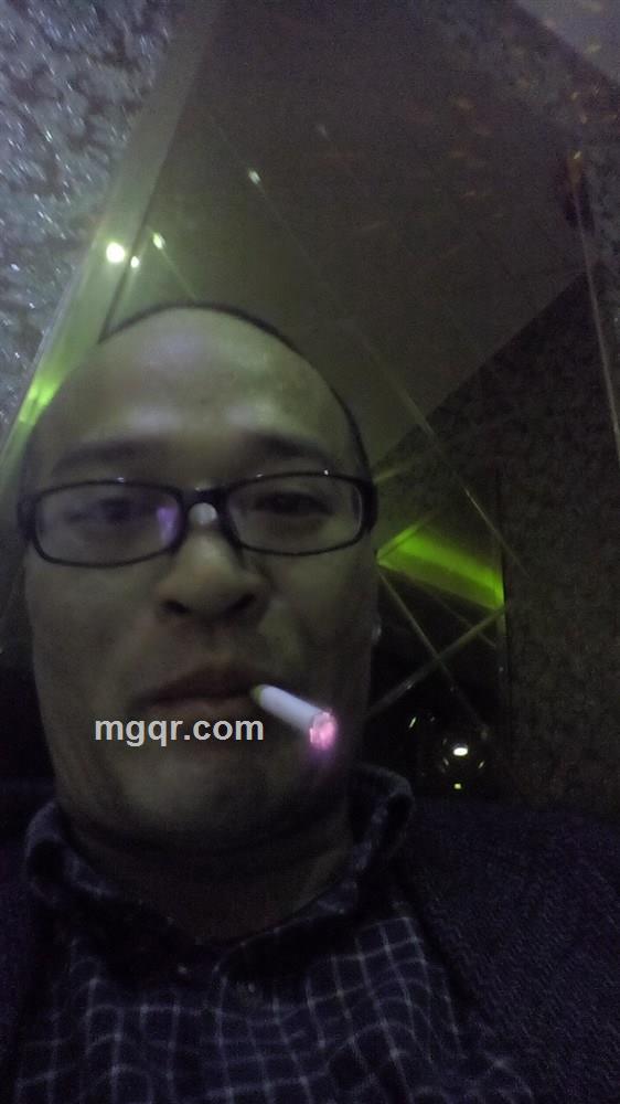 没有鼻子的牛的头像