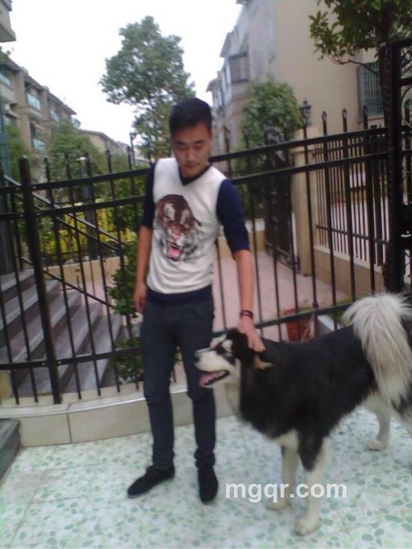 我还是那个的头像