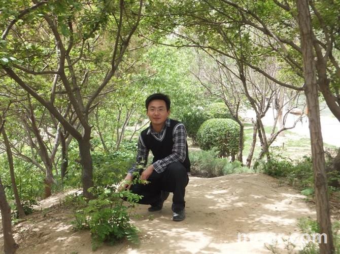 避风港湾湾的头像