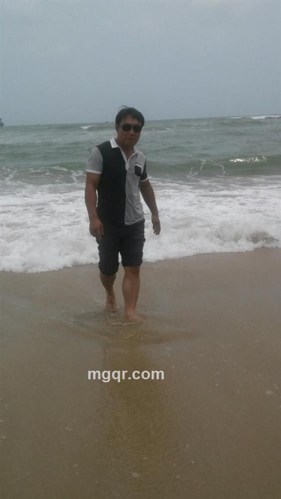 夜之回忆的头像