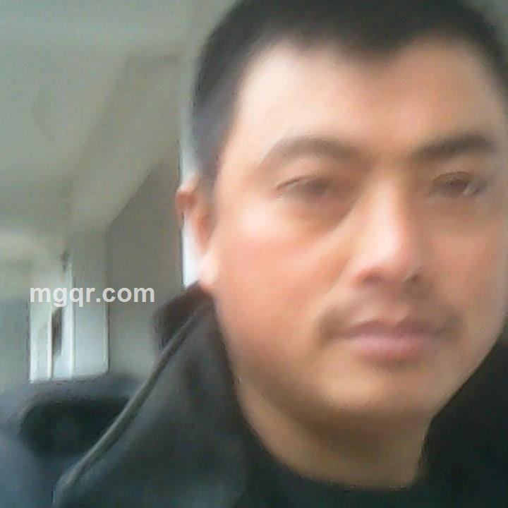 横刀离马的头像