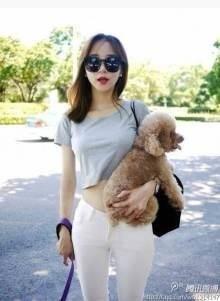 茉莉魔女的头像