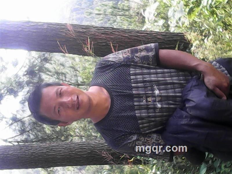 月光下的湖泊的头像