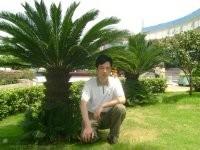 梦幻彩虹的头像