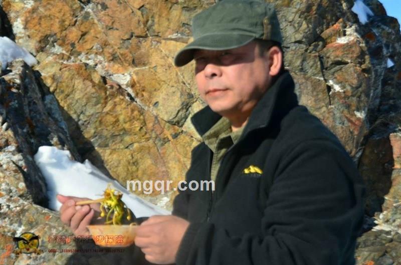 天山苍狼65的头像