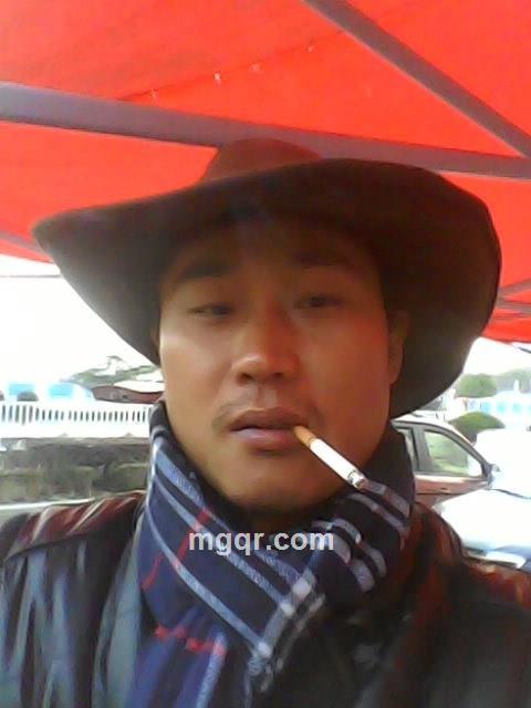 野马的头像
