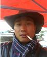 野马的头像