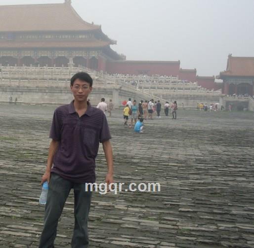 寂寞老黄牛的头像