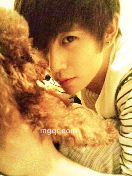 太丶阳。。的头像