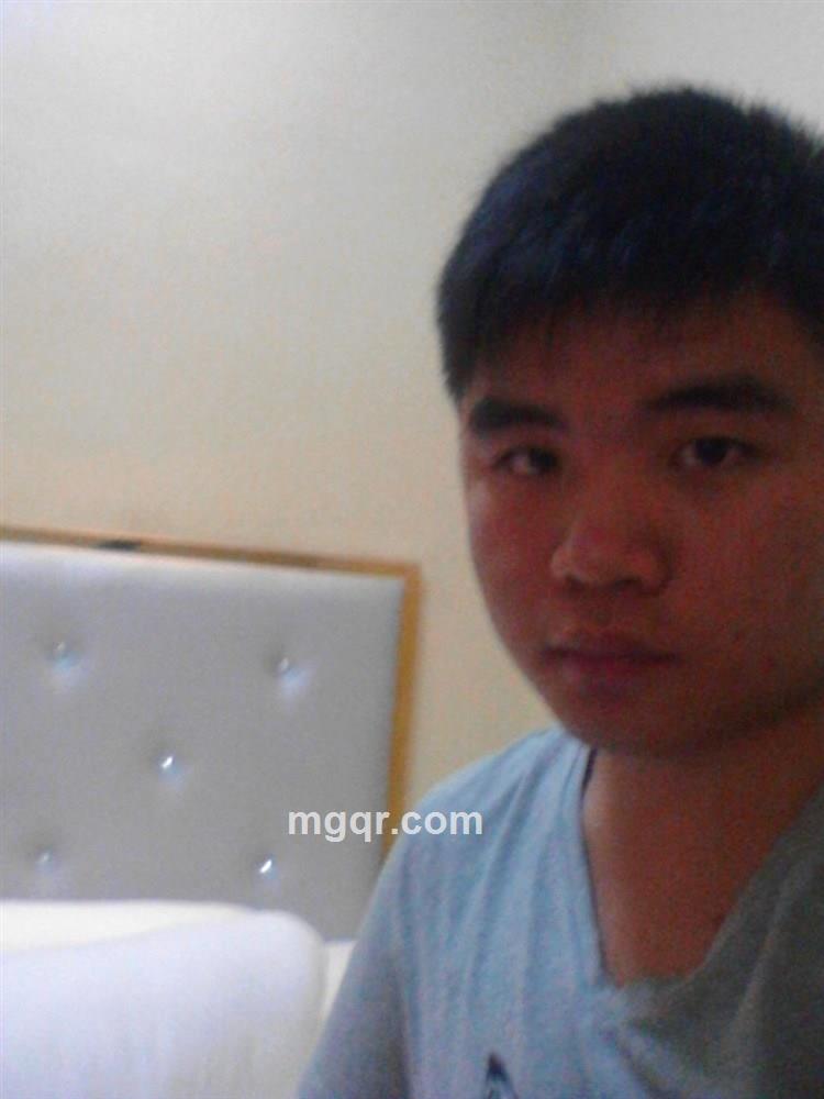 梧桐树下的爱的头像