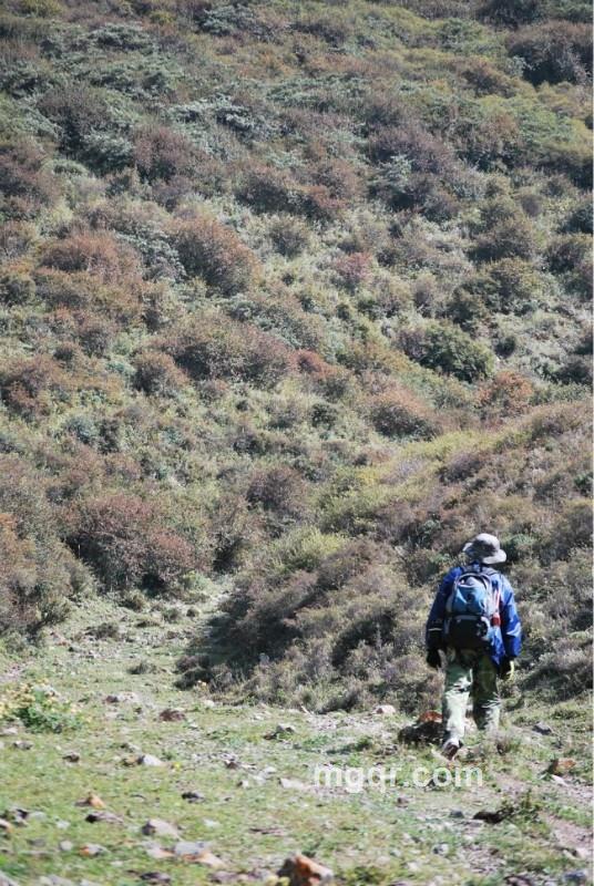 温柔的情侣的头像