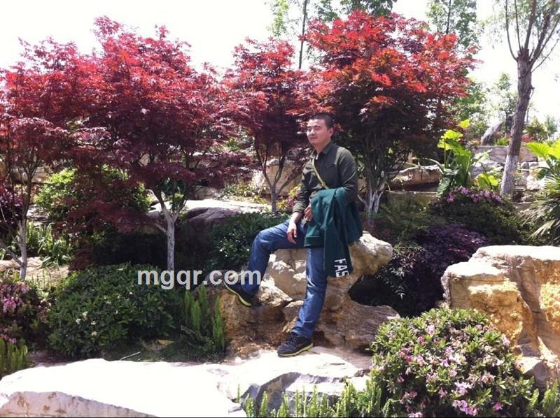 我们一起约会吧的头像