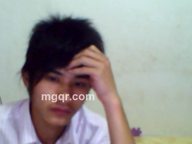 这爱我伤了的头像