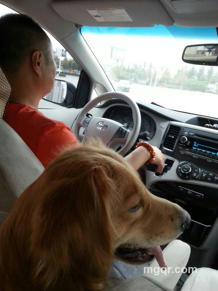 善待自己的头像