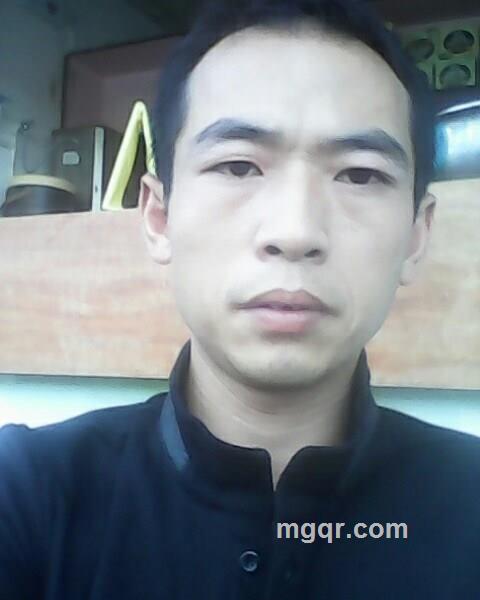 寂寞的小鸟的头像