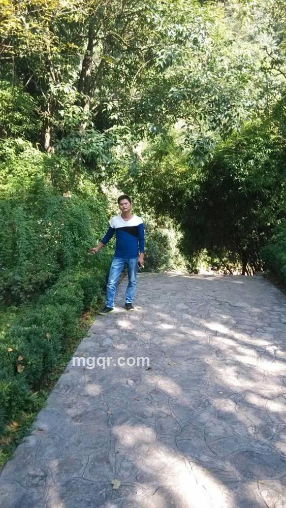 随缘而安t的头像